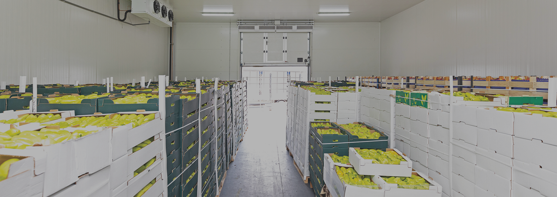 Foodpharma